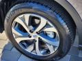 Magnetite Gray Metallic - Outback 2.5i Limited Photo No. 33