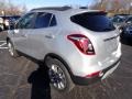 Quicksilver Metallic - Encore Preferred Photo No. 3