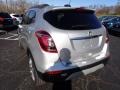Quicksilver Metallic - Encore Preferred Photo No. 4