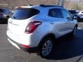 Quicksilver Metallic - Encore Preferred Photo No. 6