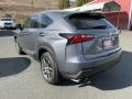 Nebula Gray Pearl - NX 200t Photo No. 5