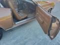 Medium Ginger 1973 Ford Mustang Hardtop Door Panel