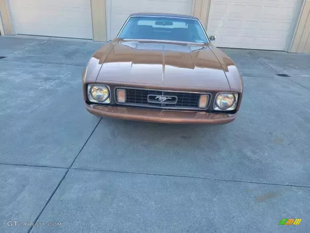 1973 Mustang Hardtop - Medium Brown Metallic / Medium Ginger photo #12