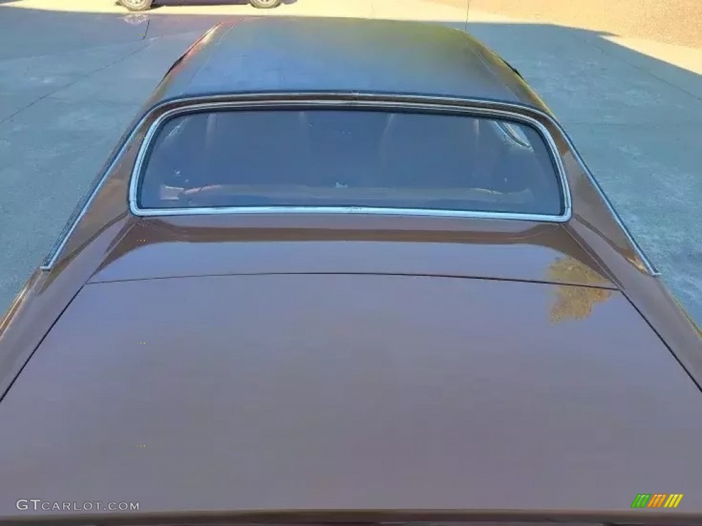 1973 Mustang Hardtop - Medium Brown Metallic / Medium Ginger photo #15
