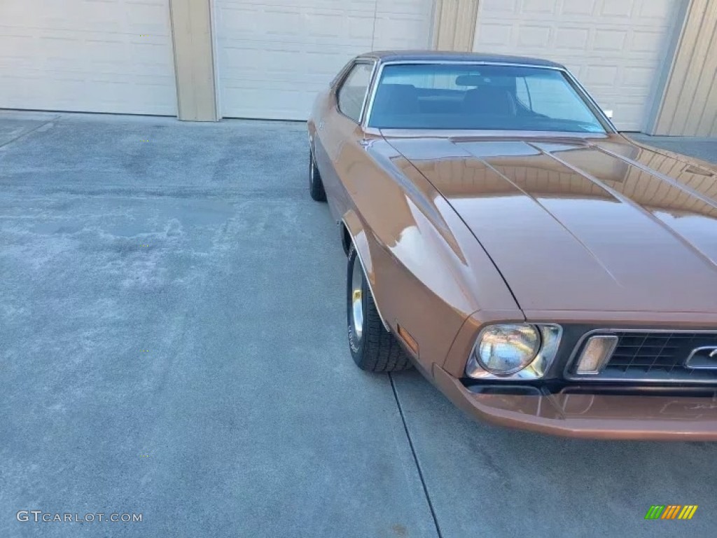 1973 Mustang Hardtop - Medium Brown Metallic / Medium Ginger photo #20