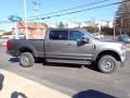 Carbonized Gray - F250 Super Duty XLT Crew Cab 4x4 Photo No. 6