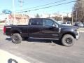 Agate Black - F250 Super Duty Lariat Crew Cab 4x4 Photo No. 6