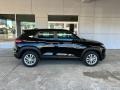 Mosaic Black Metallic - TrailBlazer LS AWD Photo No. 6