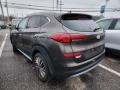 2019 Sage Brown Hyundai Tucson Limited AWD  photo #9