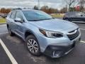 Ice Silver Metallic - Outback 2.5i Premium Photo No. 2