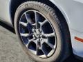 White Knuckle - Challenger GT AWD Photo No. 4