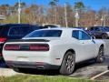 White Knuckle - Challenger GT AWD Photo No. 6