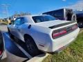White Knuckle - Challenger GT AWD Photo No. 8
