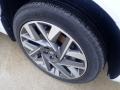 2022 Hyundai Santa Fe Calligraphy AWD Wheel and Tire Photo