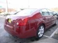 Red Opulence - Maxima 3.5 SE Photo No. 6