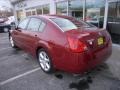 Red Opulence - Maxima 3.5 SE Photo No. 8