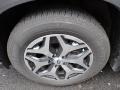 Ice Silver Metallic - Forester 2.5i Premium Photo No. 5