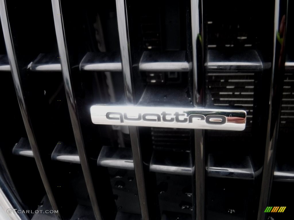 2010 Q5 3.2 quattro - Ice Silver Metallic / Black photo #6