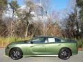 2022 F8 Green Dodge Charger R/T Blacktop #145242965