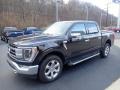 Agate Black Metallic - F150 Lariat SuperCrew 4x4 Photo No. 6