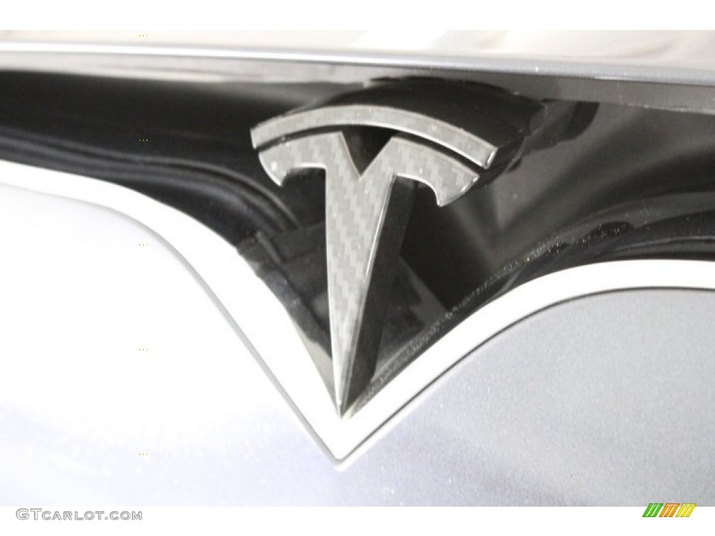 2019 Tesla Model S 75D Marks and Logos Photo #145252338