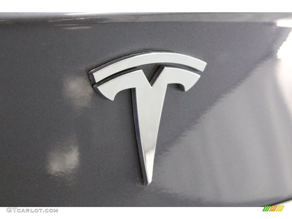 2019 Tesla Model S 75D Marks and Logos Photo #145252383