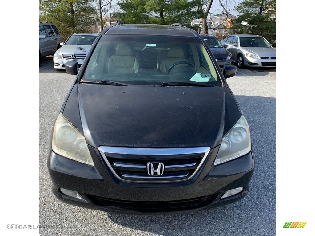 2005 Odyssey Touring - Midnight Blue Pearl / Ivory photo #6