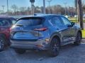 Polymetal Gray Metallic - CX-5 S Carbon Edition AWD Photo No. 7