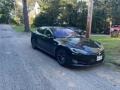 Solid Black - Model S 100D Photo No. 9