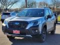 Ice Silver Metallic 2022 Subaru Forester Wilderness