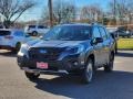 Magnetite Gray Metallic 2022 Subaru Forester Wilderness