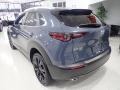 Polymetal Gray Metallic - CX-30 S Preferred AWD Photo No. 3