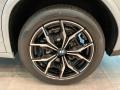 2023 BMW X4 xDrive30i Wheel and Tire Photo