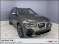 Manhattan Green Metallic 2023 BMW X5 xDrive45e