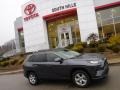 Magnetic Gray Metallic - RAV4 XLE AWD Photo No. 2