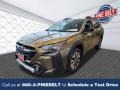 Autumn Green Metallic 2023 Subaru Outback Limited XT