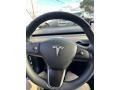 Black 2019 Tesla Model 3 Long Range Steering Wheel