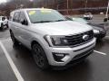 2019 Ingot Silver Metallic Ford Expedition Limited 4x4  photo #3