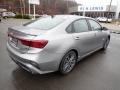 Steel Gray - Forte GT-Line Photo No. 8