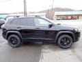 Diamond Black Crystal Pearl 2022 Jeep Cherokee X 4x4 Exterior