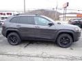 Granite Crystal Metallic - Cherokee X 4x4 Photo No. 7