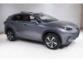 Nebula Gray Pearl 2019 Lexus NX 300 AWD