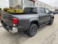 Magnetic Gray Metallic - Tacoma SR5 Double Cab Photo No. 9