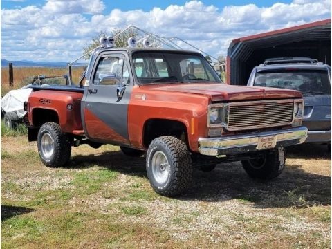 1978 Chevrolet C/K Truck