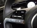 2022 Santa Cruz Limited Premium AWD Steering Wheel