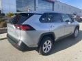 Silver Sky Metallic - RAV4 LE AWD Photo No. 9