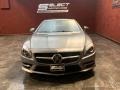 Paladium Silver Metallic - SL 550 Roadster Photo No. 3