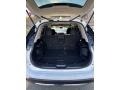 Charcoal Trunk Photo for 2018 Nissan Rogue #145318362