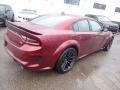 Octane Red Pearl - Charger Scat Pack Widebody Photo No. 5