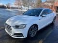 Ibis White 2018 Audi S5 Premium Plus Sportback Exterior